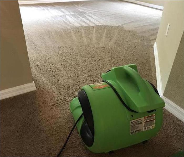 Cleaned carpet, air mover